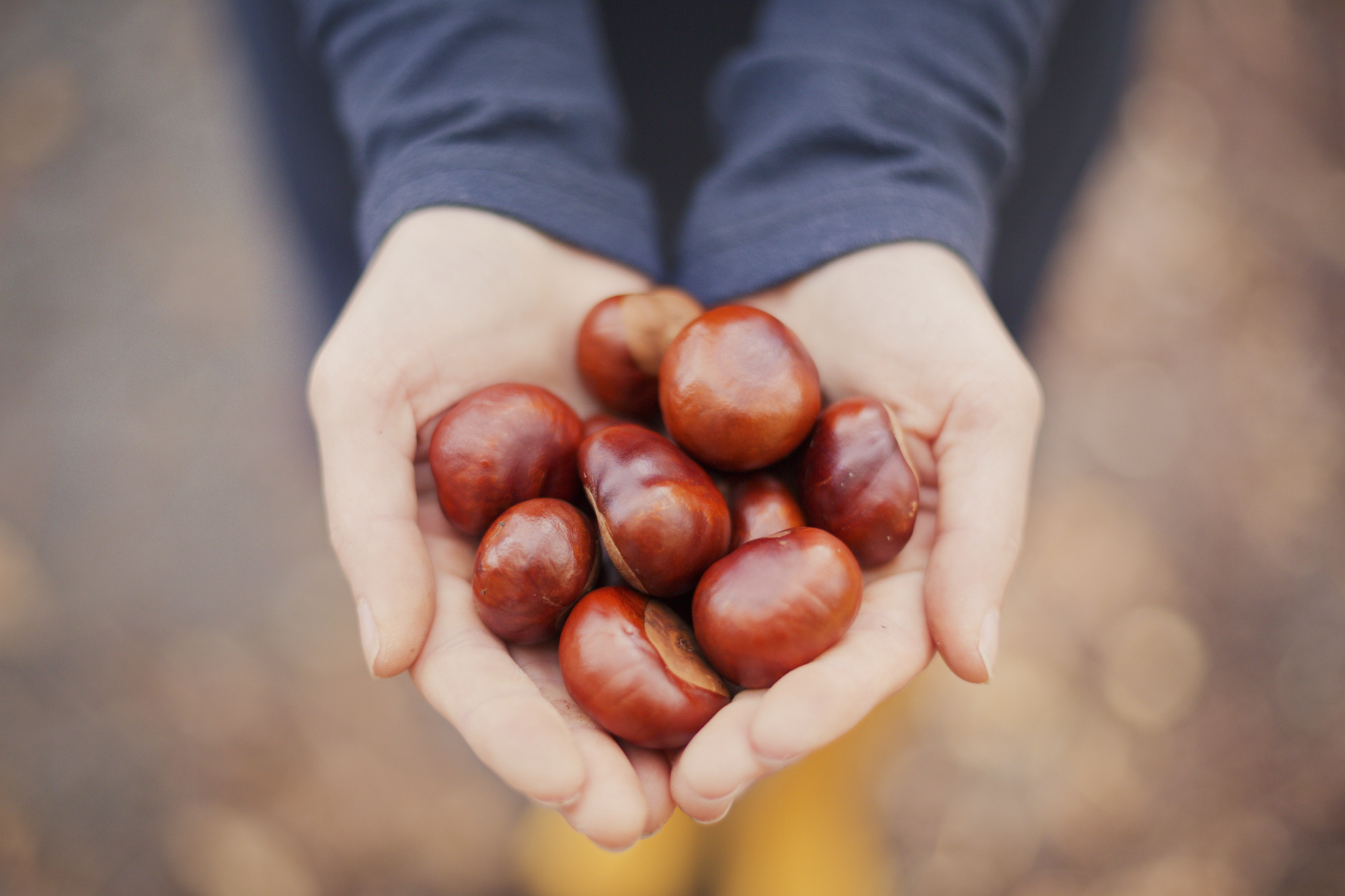 Why You Should Add Chestnuts To Your Diet [Video]