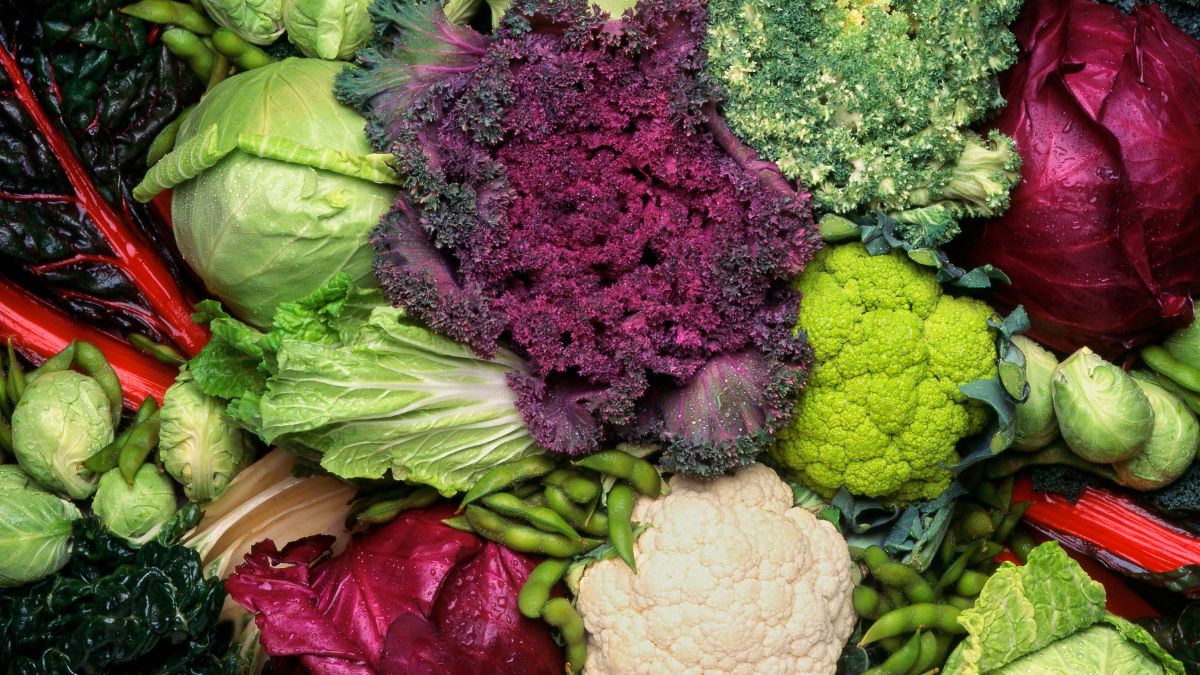 5 Cruciferous Vegetables That You Should Add To Your Diet [Video]