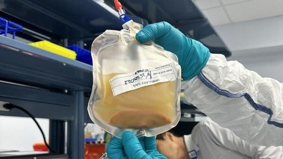 Experimental Therapy Could Grow You Brand New Livers [Video]