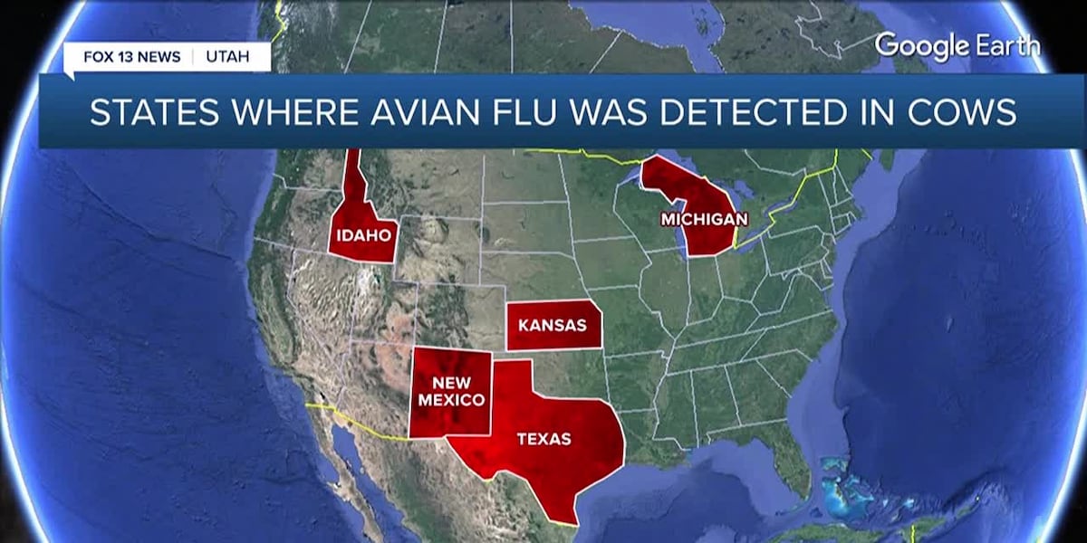 Avian flu reported in cattle, one human [Video]