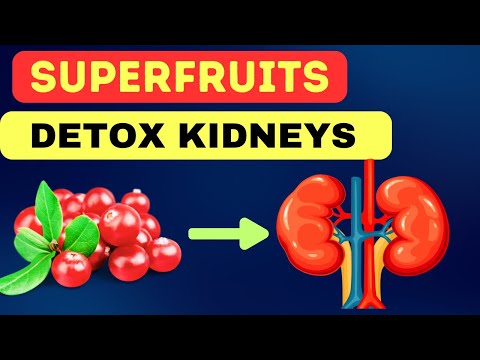 Top 9 Fruits for Breakfast to Detox and Fuel Your Kidneys | Chronic Kidney Disease [Video]