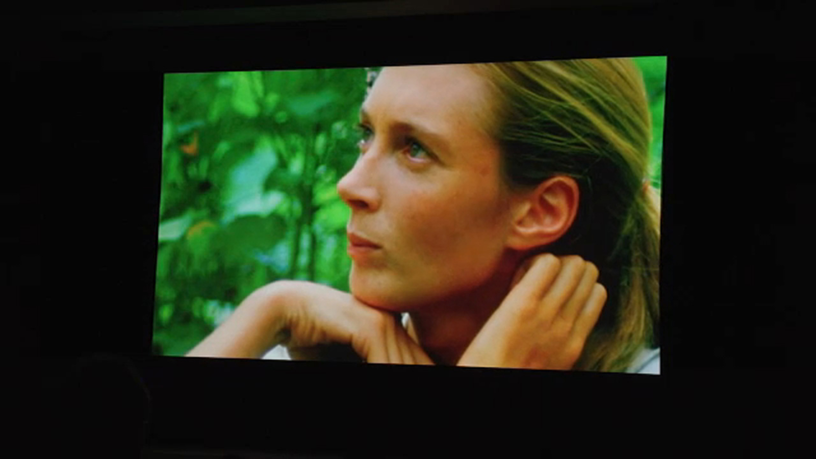 ‘Jane’ screening held at Los Angeles’ Greek Theatre for Jane Goodall’s 90th birthday [Video]