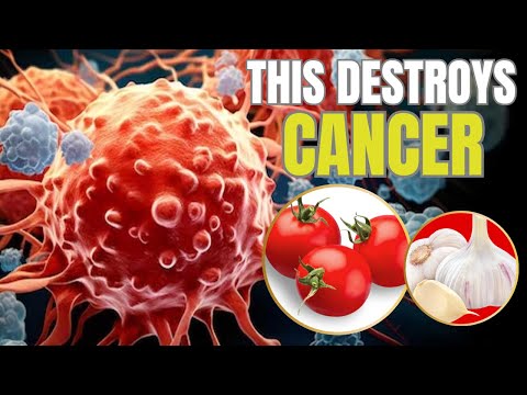 6 Foods That PREVENT and KILL CANCER | Hab Healthy [Video]