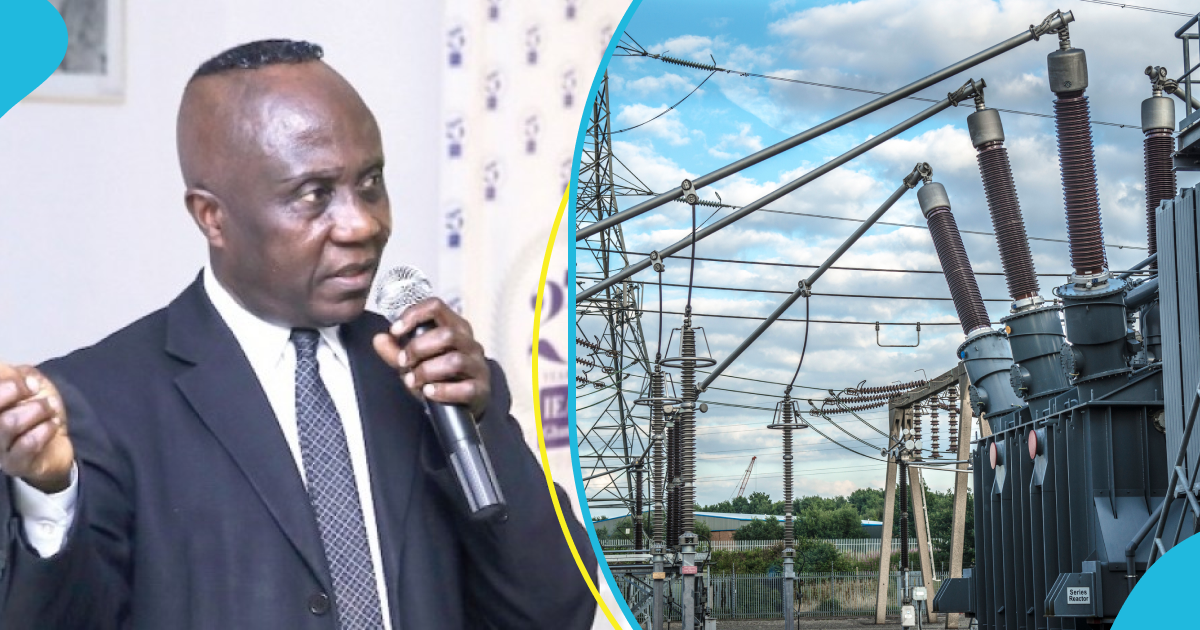 IEA Urges Government To Employ Expert Managers To Address Challenges At ECG [Video]