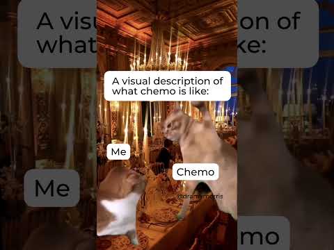 A Visual Description of Chemo [Video]