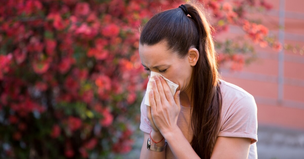 Spring allergies are here, and heres how to deal with them [Video]