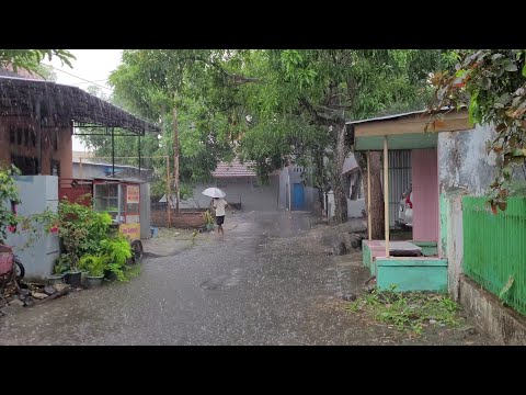 Heavy Rain and the thunder sound in My Village | Rain Sound Therapy Makes Sleep More Comfortable [Video]