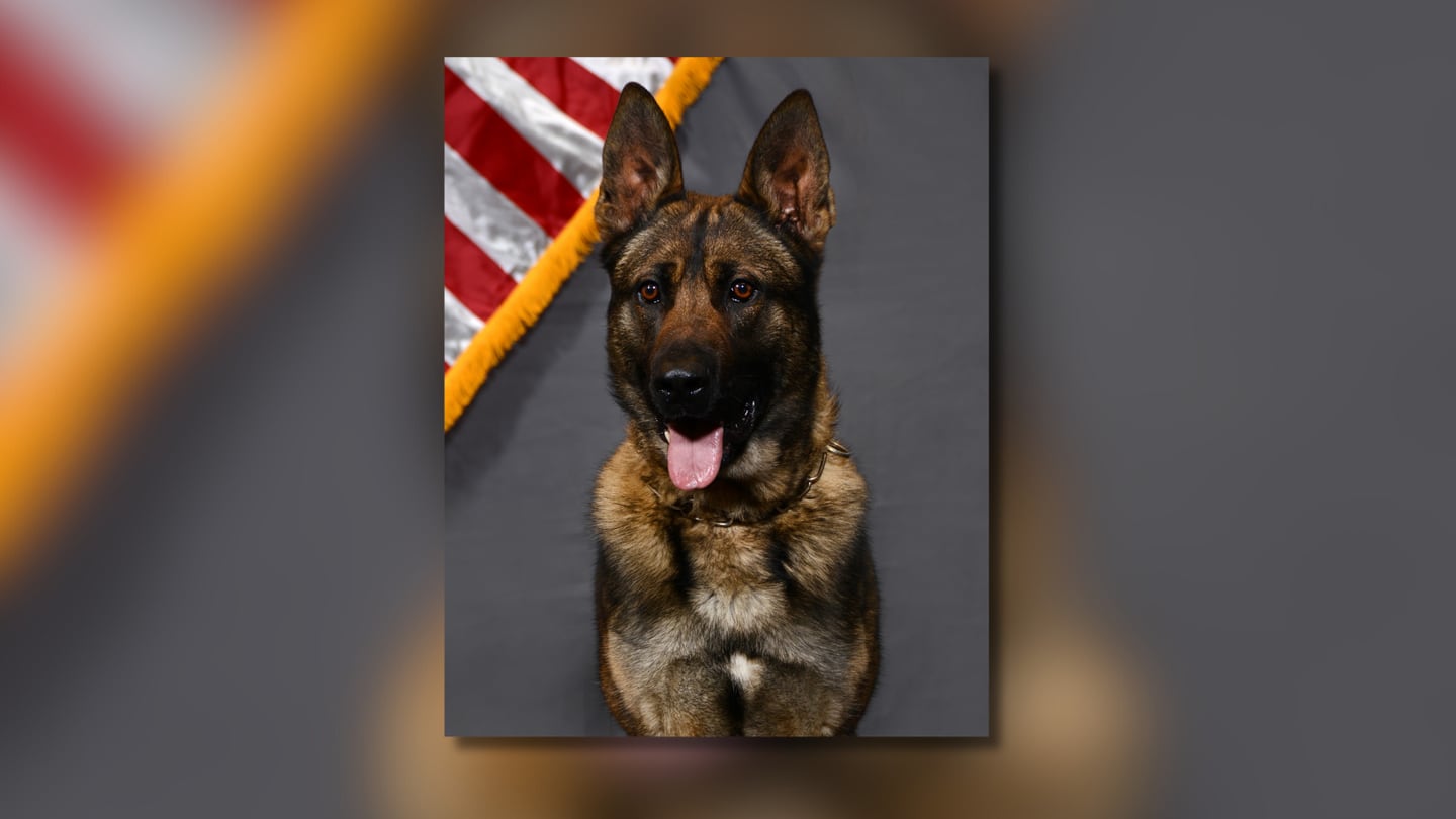 Roswell police announce K-9 passes away after brief battle with cancer  WSB-TV Channel 2 [Video]