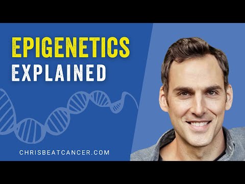 What is epigenetics? | Chris Wark [Video]