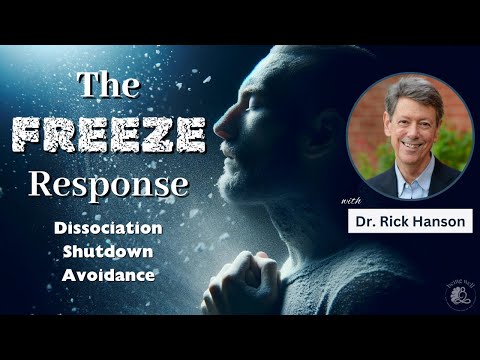 Managing the Freeze Response: Dissociation, Emotional Shutdown, and Creating Safety | Being Well [Video]