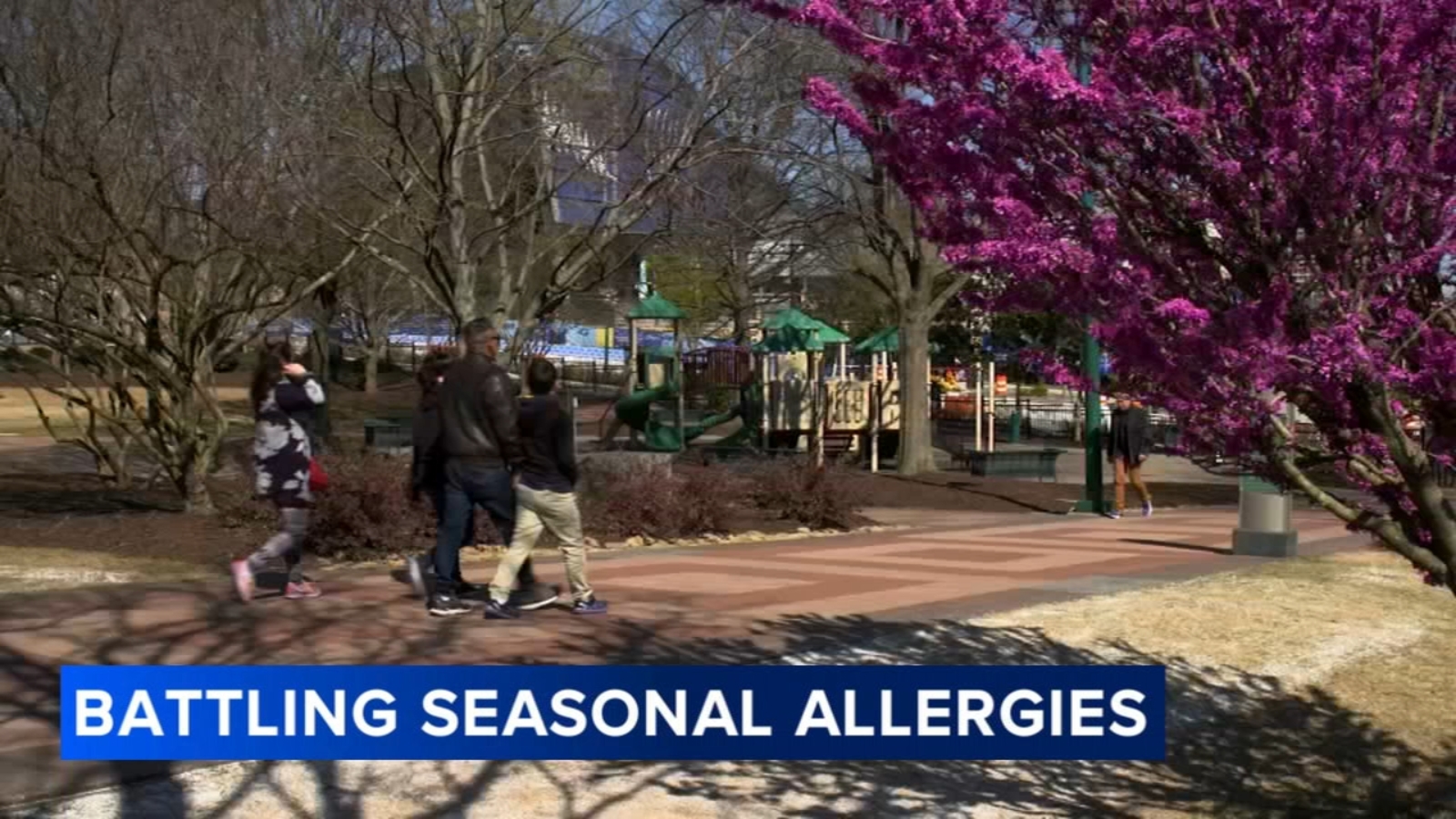 Seasonal allergies: It’s not just you; here’s why pollen allergies are worse than ever this spring [Video]