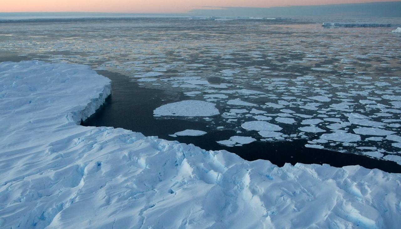 Scientists fear catastrophe after ‘mind-boggling’ 38.5C temperature jump in Antarctica [Video]