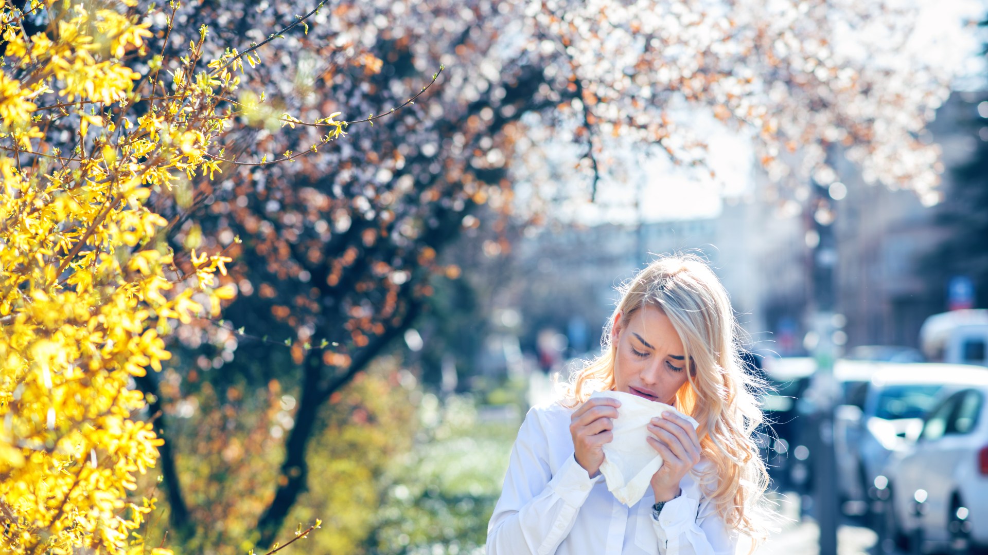 Watch your windows, polish your pets and start to spray – 8 top tips to tackle hayfever as early spring pollen bomb hits [Video]