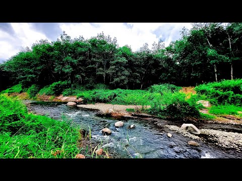 Mindfulness Meditation Sound ASMR | 10 Hours Calming Nature River Sound  | Self Help | Self Love [Video]