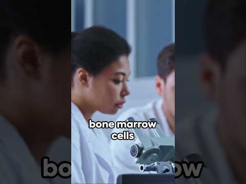 New Hope for Bone Cancer: Engineered Bone Marrow [Video]