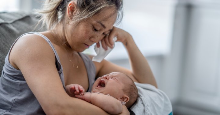 Canadian researchers create natural supplement to combat postpartum blues – National [Video]