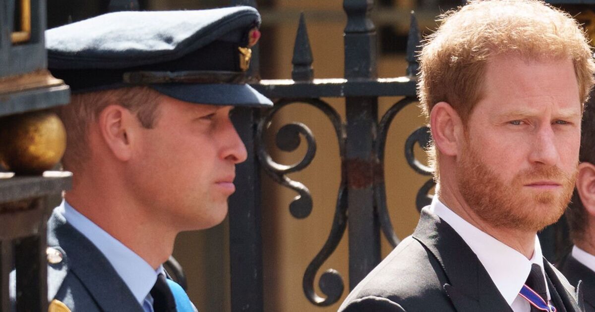 Prince Harry safety fears ‘blown apart’ after William’s pub trip | Royal | News [Video]