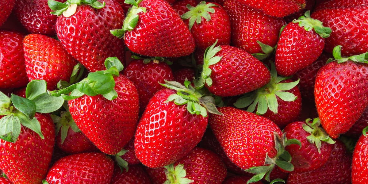 Nutritional benefits of strawberries with Jen Avis [Video]