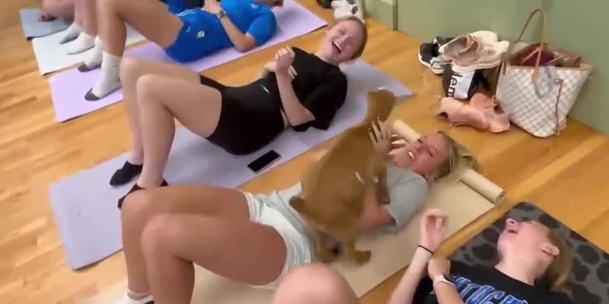 Unwind, relax with goat yoga in the Tri-State [Video]