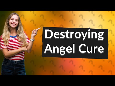 Is there a cure for destroying angel? [Video]