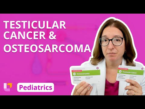 Testicular Cancer & Osteosarcoma: Immune System – Pediatric Nursing | @LevelUpRN [Video]