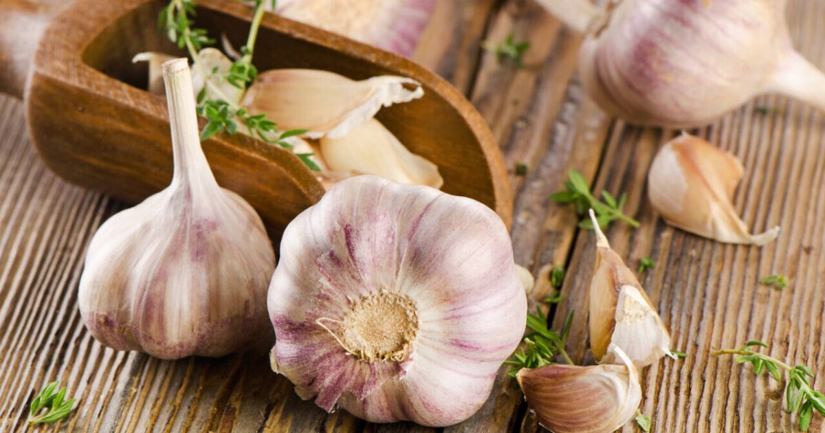 How long does garlic last? [Video]