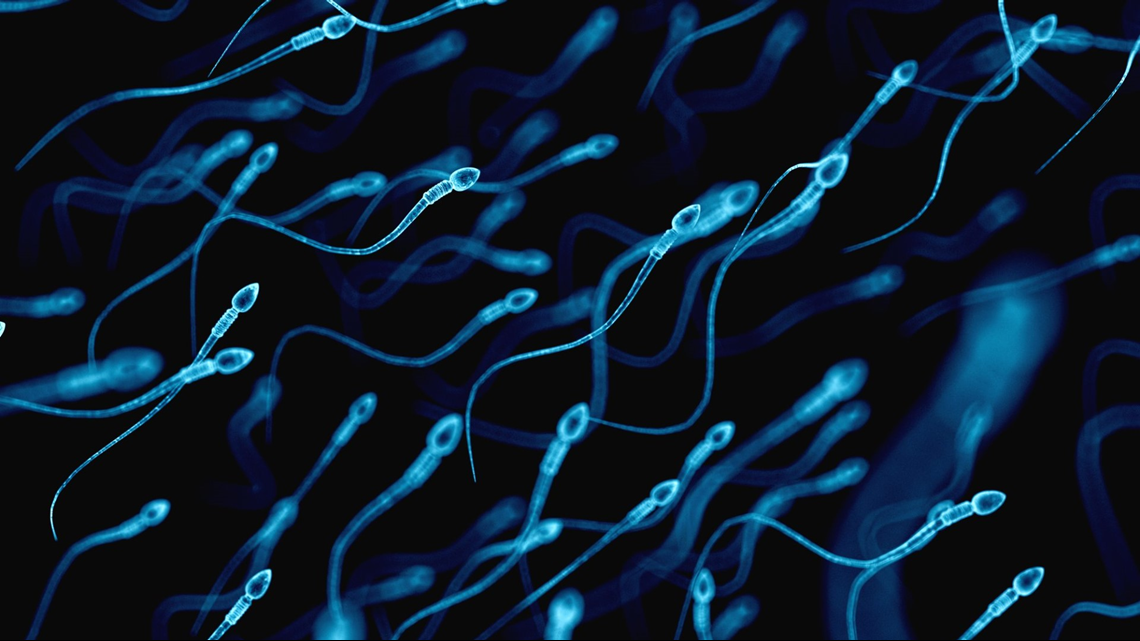 Flagstaff startup works on injectable male birth control [Video]