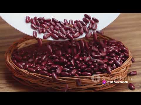 Anti-Cancer Foods [Video]