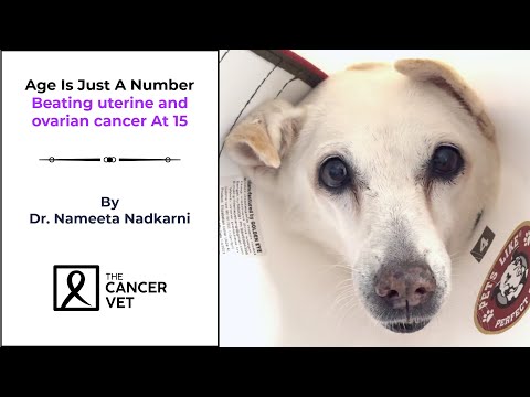 Age is just a number: Beating uterine and ovarian cancer at 15 – Episode 47 [Video]