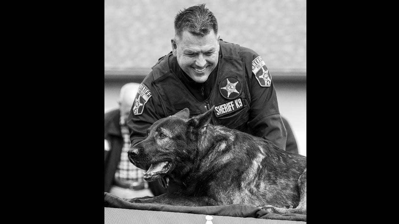 Days after retiring, famous police dog Dax is dead [Video]