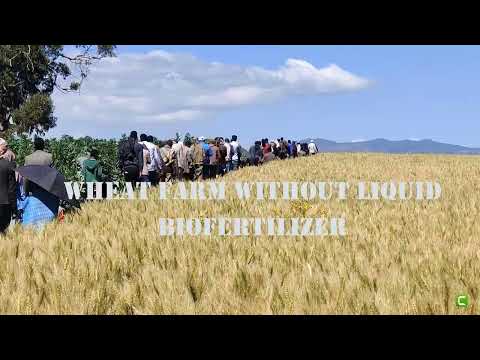 GFF Journey towards Regenerative Agriculture [Video]