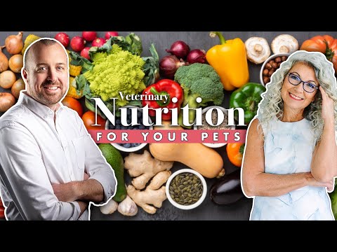 Improving Nutrition Education for Veterinarians [Video]