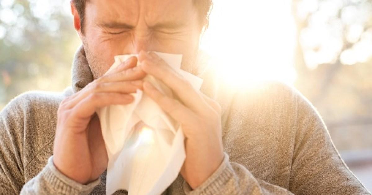 Expert tips to reduce hay fever symptoms as pollen levels skyrocket [Video]