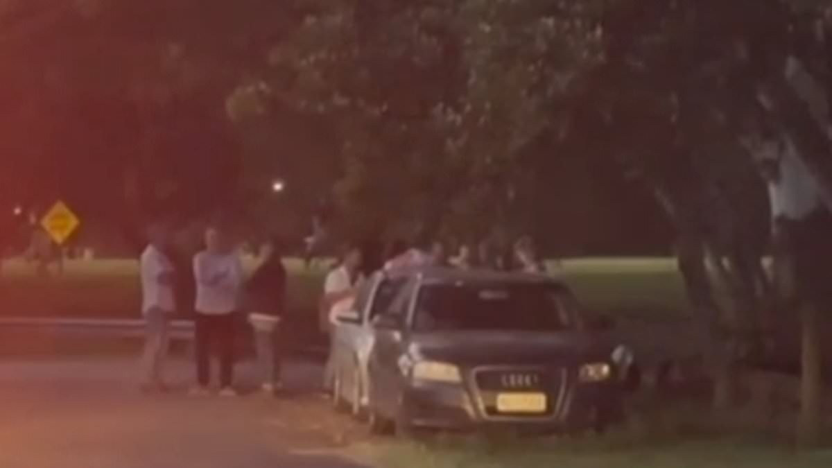Norman Park, Brisbane: Six rushed to hospital after guests are exposed to ‘toxic substance’ at 80th birthday party [Video]