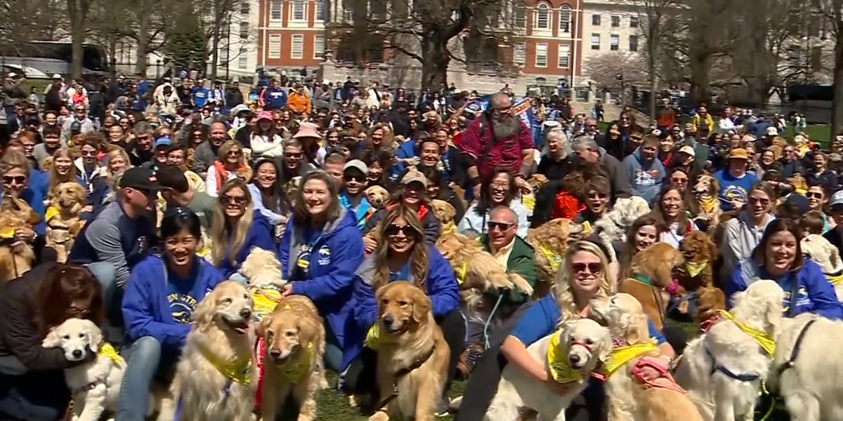 Late Boston Marathon official dog honored with golden retriever meetup [Video]