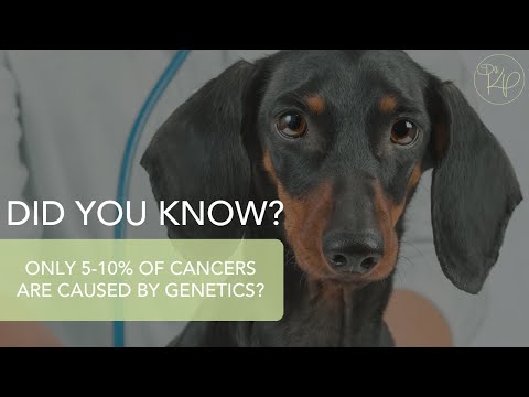 Cancers Are Genetic [Video]