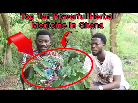 THE TOP TEN MOST POWERFUL HERBAL MEDICINE IN GHANA 🇬🇭 FOR FREE 💯💯💯💥💥 [Video]
