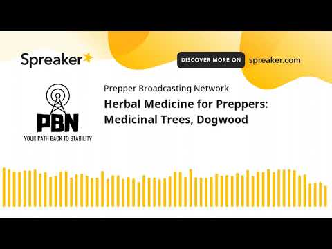 Herbal Medicine for Preppers: Medicinal Trees, Dogwood [Video]