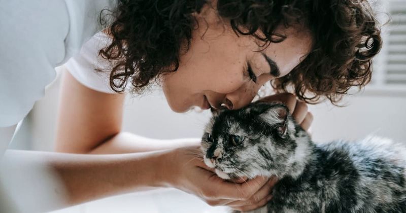 Scientists find there’s a strange link between cat ownership and schizophrenia [Video]