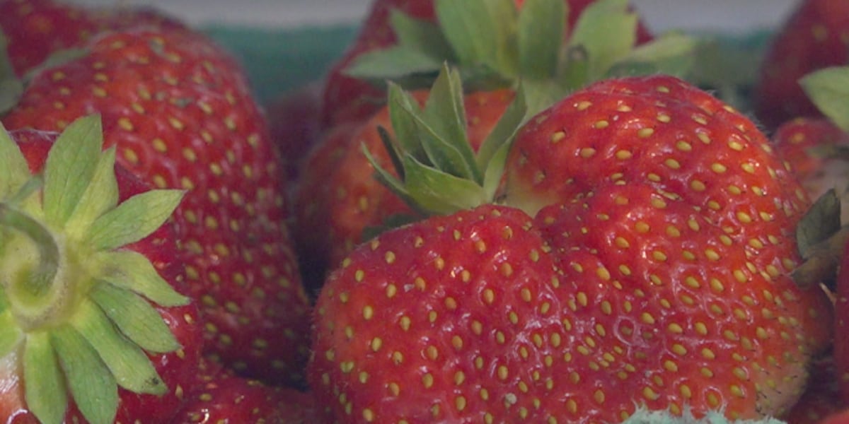 Investigation finds concerning levels of pesticide in fruits and vegetables [Video]