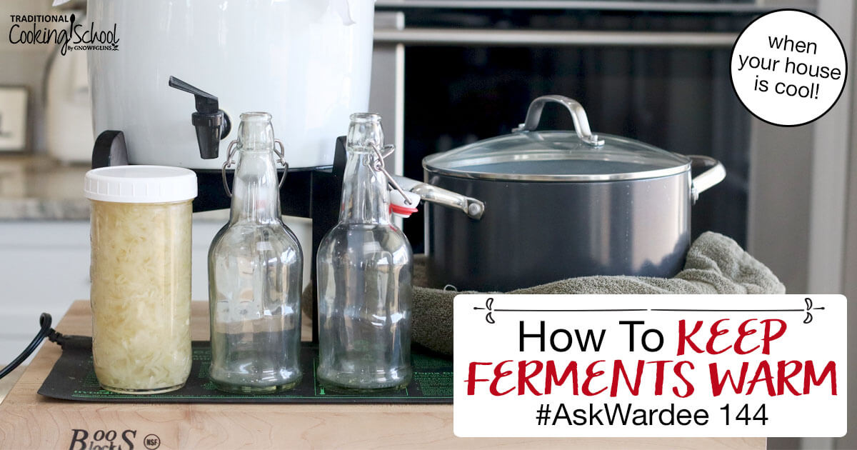 How To Keep Ferments Warm When Your House Is Cool [Video]
