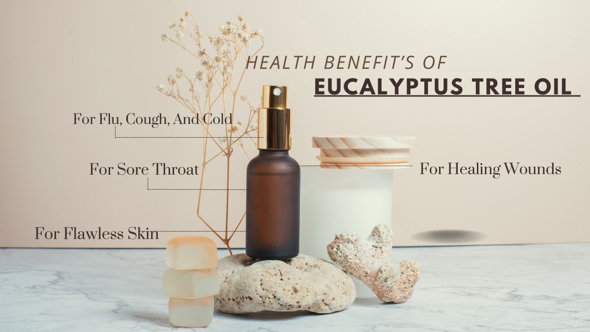 5 Reasons To Use Eucalyptus Oil For Good Health; Sore Throat And Flawless Skin [Video]