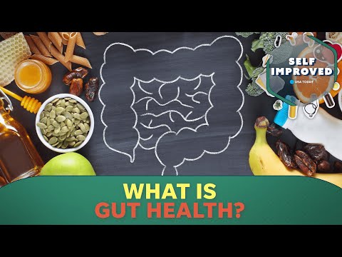Here’s why the gut is an essential part of a healthy lifestyle | SELF IMPROVED [Video]