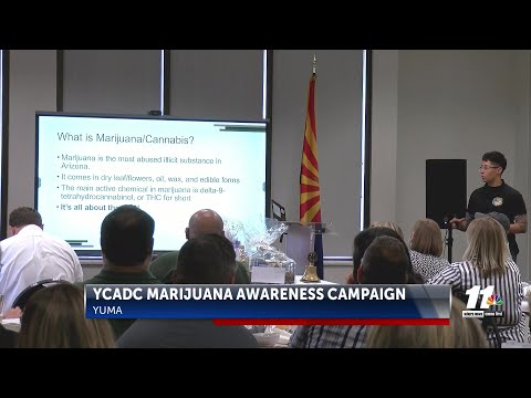 YCADC launches marijuana awareness campaign [Video]