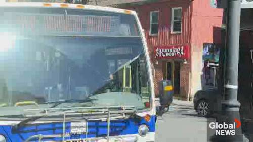 Fredericton to debut its new Sunday bus service in June [Video]