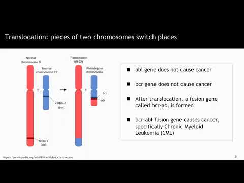The role of mutations in primary tumor formation and evolution [Video]
