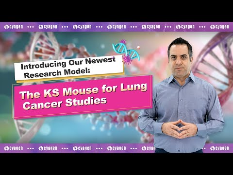 Introducing Our Newest Research Model: The KS Mouse for Lung Cancer Studies [Video]