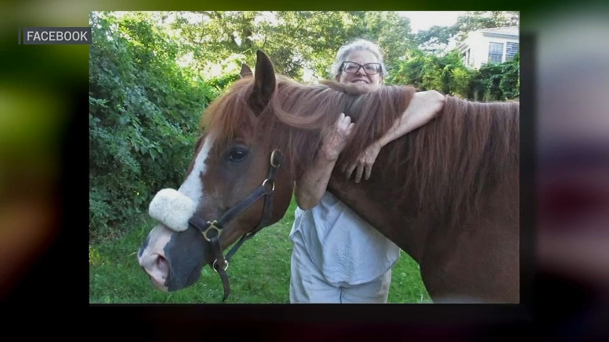 Cape Cod womans death sparks battle over whether her horse should live  NBC Boston [Video]