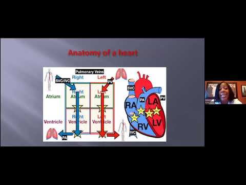 DCSD Health & Wellness Series: Cardiovascular Health [Video]