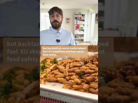EU vote: Hungarian social media abuzz with insect ingredient rumors but fears are unfounded [Video]